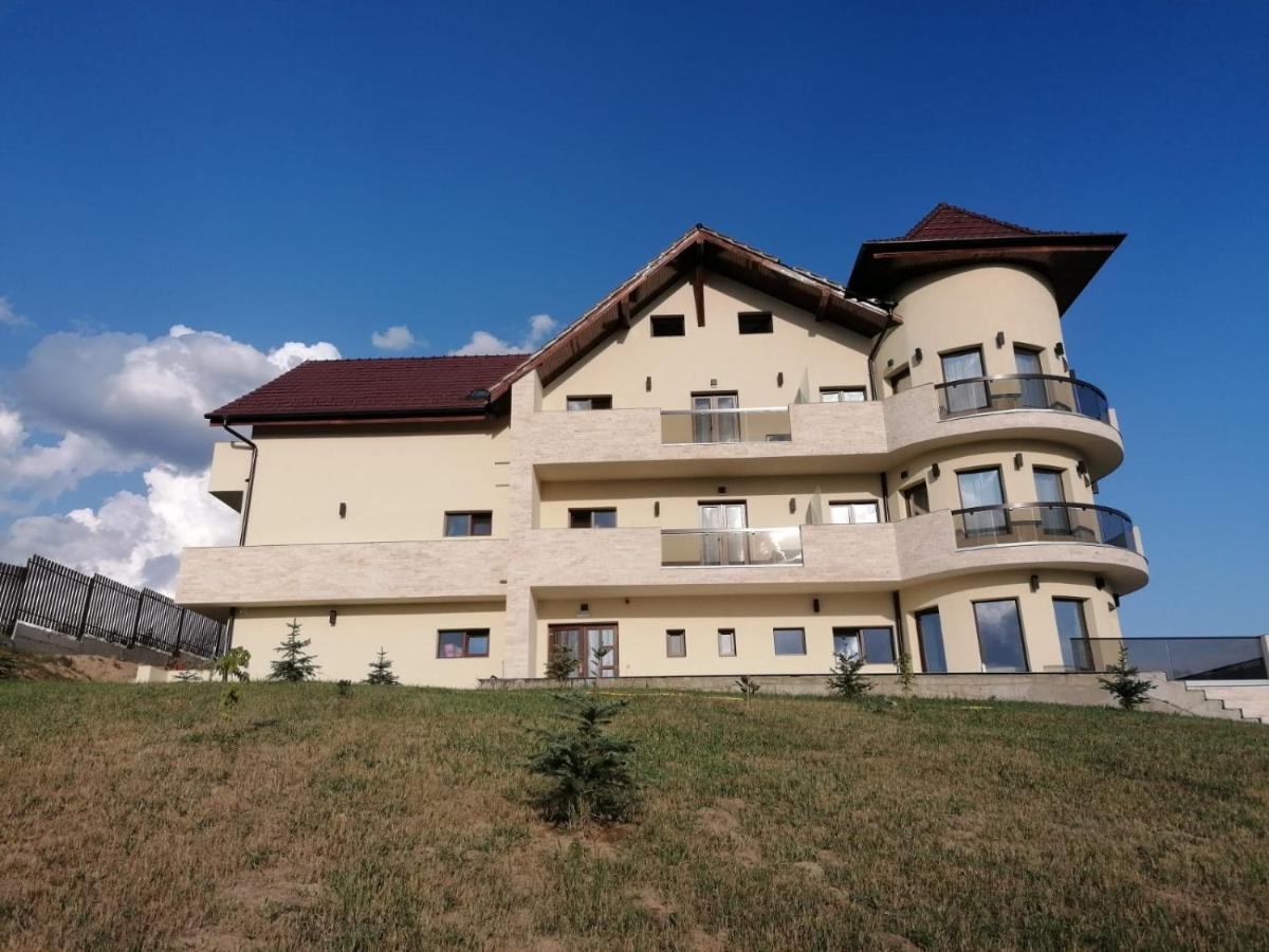 ביילה פליקס Pensiunea Palace מראה חיצוני תמונה