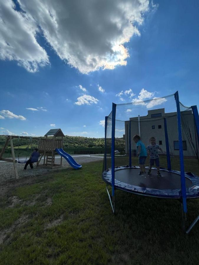 ביילה פליקס Pensiunea Palace מראה חיצוני תמונה